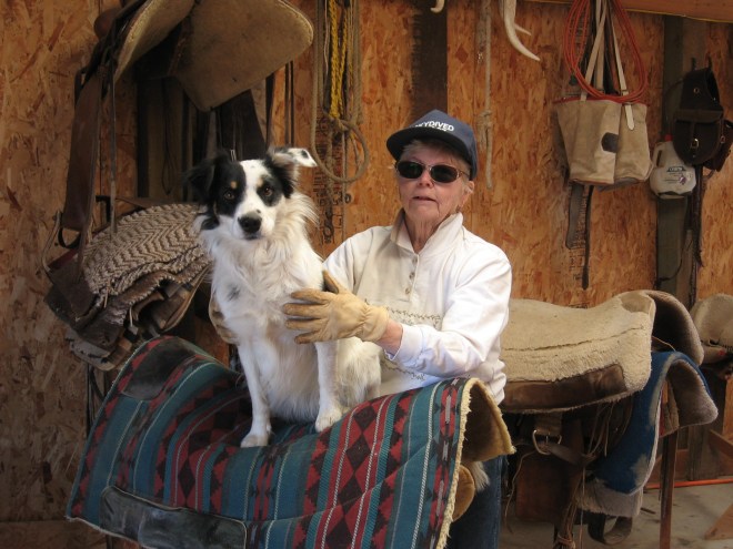 cows-horses-branding '09 053